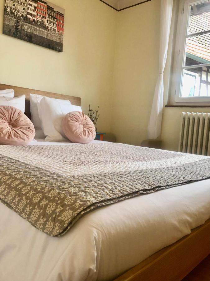Appartement T3 Aux Deux Cigognes Gries Buitenkant foto