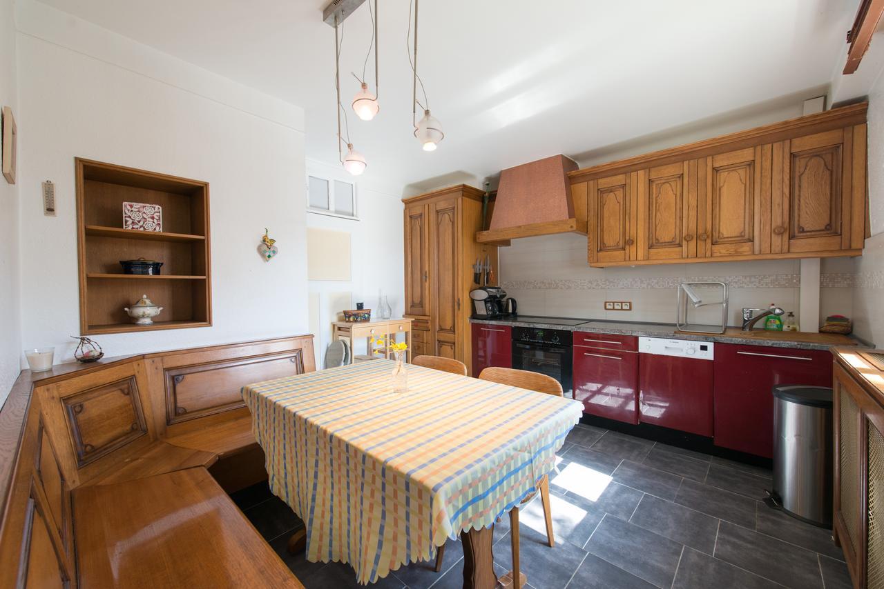 Appartement T3 Aux Deux Cigognes Gries Buitenkant foto