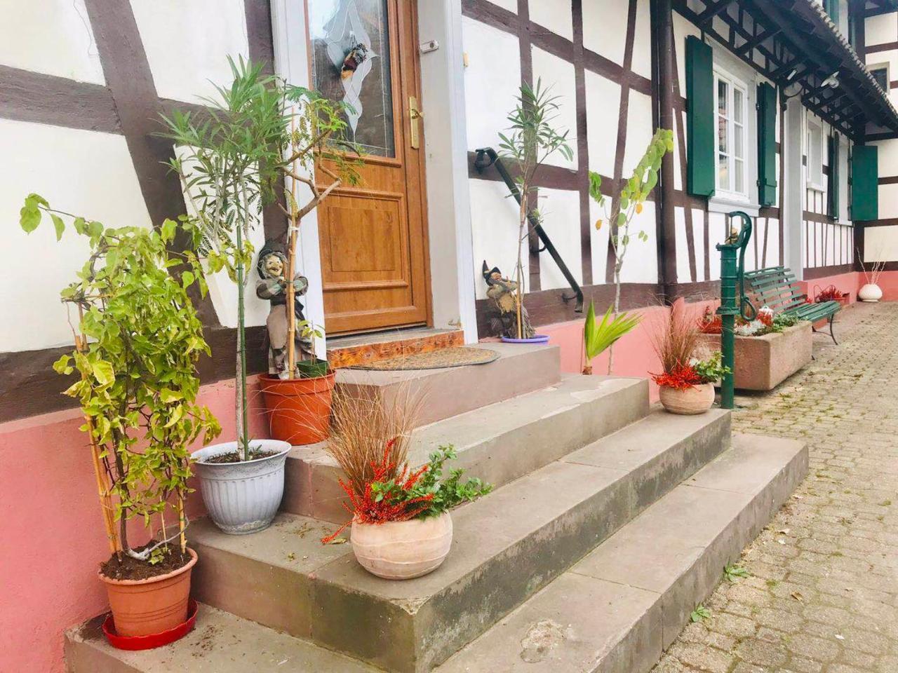 Appartement T3 Aux Deux Cigognes Gries Buitenkant foto
